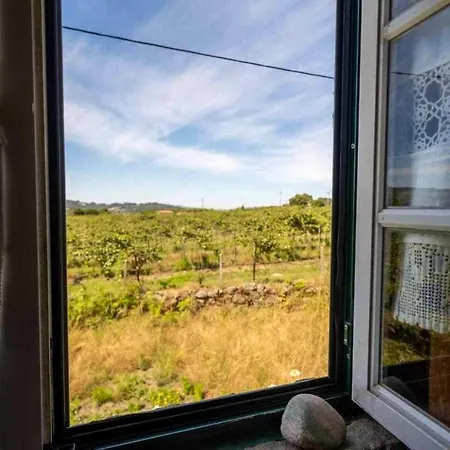 Spacious With Private Pool In